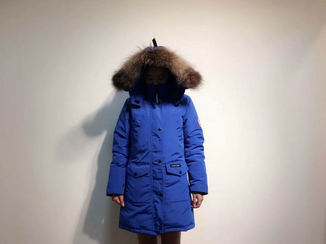 canada goose-021